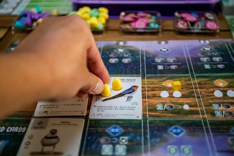 Wingspan Oceania: el continente más distinto y la expansión que más cambia el motor